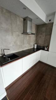 Apartament Katowice Park Śląski - Katowice - 6