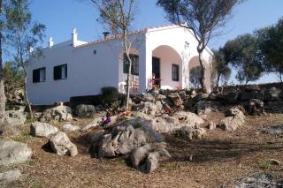 Vinya Alice - Ciutadella - 7