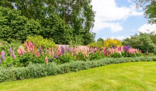 The Farm Bed & Breakfast - Middlemarch - 5