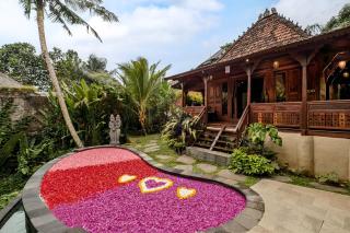 Andara Ubud Villa - Ubud - 1