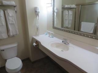 Parke Regency Hotel & Conf Ctr., BW Signature Collection - Bloomington - 8