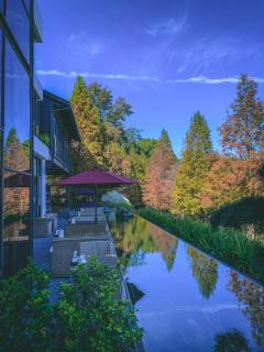 The Pines - Xinshe - 2