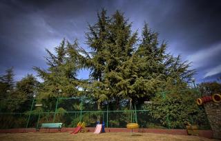 Tathastu Resort - Mukteshwar - 3