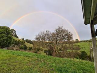 Foster - Nature Retreat - Nippards Nature Cottage - 4