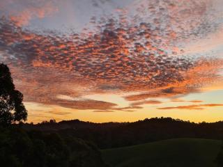 Foster - Nature Retreat - Nippards Nature Cottage - 1