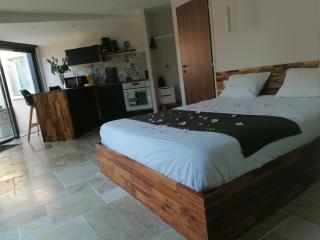 Charmant logis neuf équipé/Piscine/SPA/Sauna/Gym - - 3