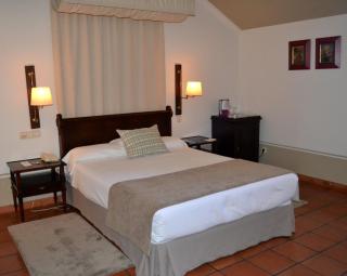 Parador de Lerma - Lerma - 5