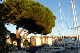 Charming apartment overlooking the lake city - Grimaud - 0