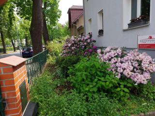 Ferienwohnung Heil - Königs Wusterhausen - Königs Wusterhausen - 9