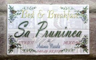 Sa Pruninca - Villanova Monteleone - 0