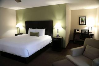 Baymont by Wyndham Rockford - Rockford - 1