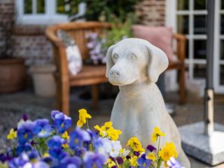 Südwind´s Hummerkoje - 2