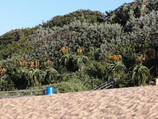 Syringa Sea View - Pennington - 5