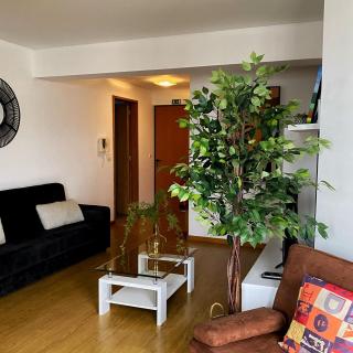 Apartamento Central Antero de Quental - Ponta Delgada - 4