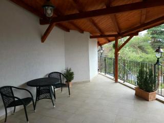 Cabana Stejarul - Botoşani - 1