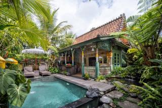 The Spirit Villa - Ubud - 3