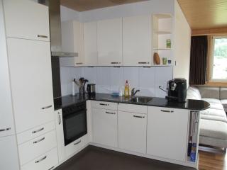 Ufem Egg Ferienwohnungen - Innertkirchen - 8