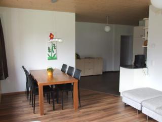 Ufem Egg Ferienwohnungen - Innertkirchen - 7