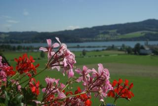 Hotel Walkner - Seeham - 8