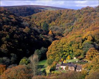Tarr Farm Inn - 5