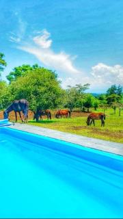 CASA QUINTA LA ENCANTADA - San Miguel de Tucumán - 8