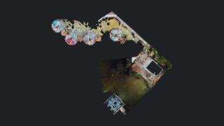 Baobab - Sainte-Anne - 8