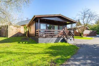 Bluebell Lodge 7 with Hot Tub - 9