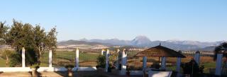 Finca La Fuensanta - Arcos de la Frontera - 2