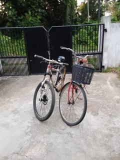 Indra Sisila Resort and Villa Bentota - 3