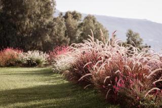 Armacera Resort - 9