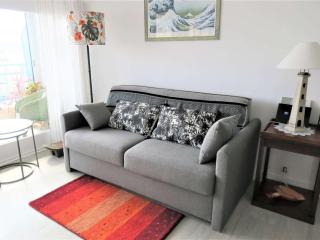 Appartement de charme avec vue sur mer, loggia et balcon à Perros-Guirec - FR-1-368-295 - Perros-Guirec - 6