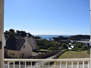 Lumineux appartement 2 pers, centre Trébeurden, proche plage, chiens admis - FR-1-368-136 - Trébeurden - 0