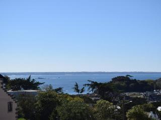 Lumineux appartement 2 pers, centre Trébeurden, proche plage, chiens admis - FR-1-368-136 - Trébeurden - 3