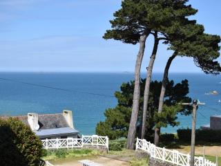 Villa 13 pers avec jardin, WIFI, animaux admis à Perros-Guirec - FR-1-368-169 - Perros-Guirec - 9