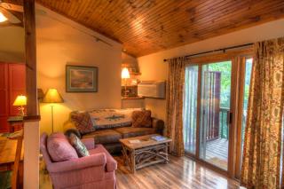 Algonquin Cottage - Boone - 9