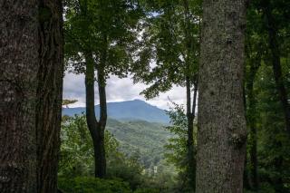 Azalea Hill - Boone - 8