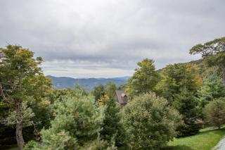 Bear Necessities - Beech Mountain - 9