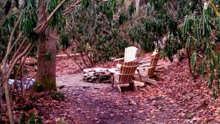 Big Timber Creek Cabin - Sugar Grove - 4