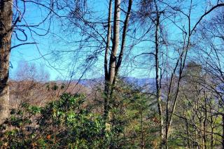 Big Timber Creek Cabin - Sugar Grove - 3