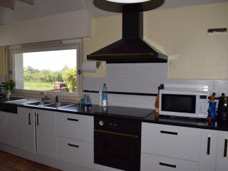 Maison en pierre à Perros-Guirec avec grand jardin et WIFI - FR-1-368-235 - Perros-Guirec - 6