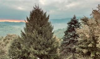 A Glowing View - Vilas - 3
