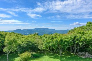 Elderberry Escape - Beech Mountain - 7