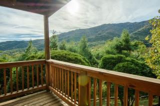 Grandfather Getaway - 9