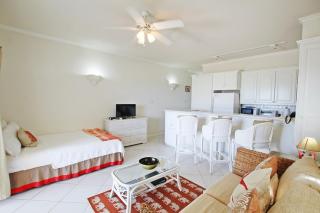 Casual Beachfront Studio with Pool apts by Bluescape - Bridgetown - 7