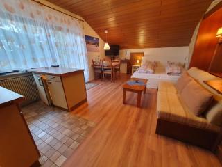 Ferienhaus-Schönwald im Herzen des Schwarzwalds 2Zimmer-Wohnung+Balkon App10 - Schönwald - 9