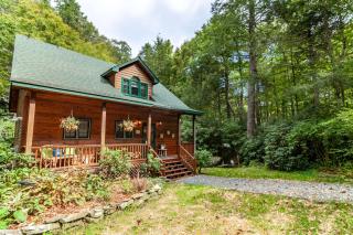 Waterfall Cottage - Boone - 2