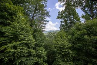 Willow Valley View - Vilas - 9