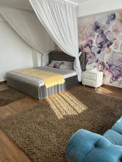 Apartament Studio Jadis 1 - Oradea - 8