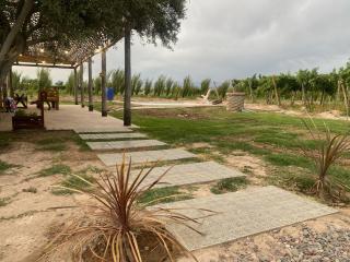 El rincón del nene - 6