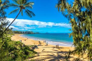 Pacific Shores B203 condo - Kihei - 7